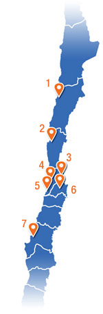 Oficinas de Famex en chile Sucursales